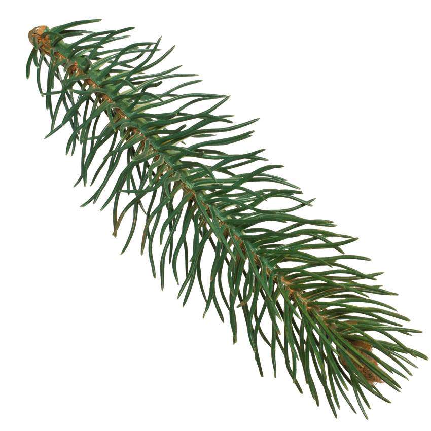 Adventsgesteck mit Metallgestell mit roten Beeren Zapfen B700_b2
