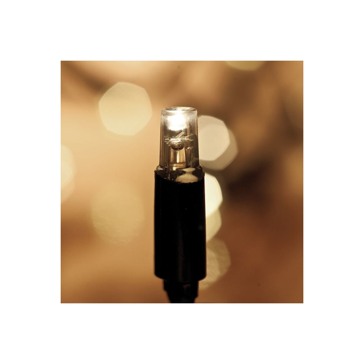 Chrissline Combi LED Außen Lichterkette 50 LEDs warmwe